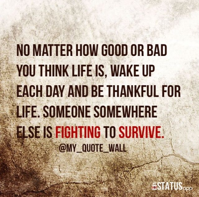 Wake Up Each Day