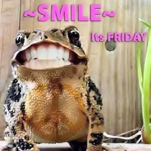 Smile it's Friday