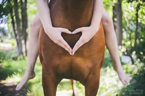 A girl and her horse