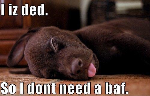 I iz dead I iz dead
