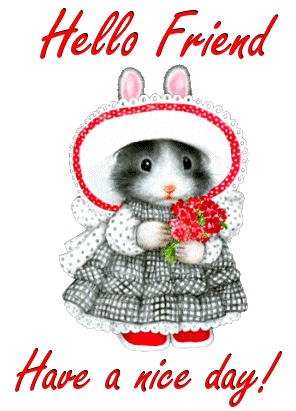 Hello Friend Have a Nice Day