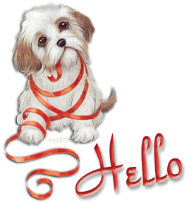Hello Hello