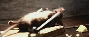 Rocky theme music playing