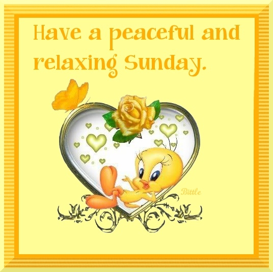 Have a peaceful Sunday Have a peaceful Sunday