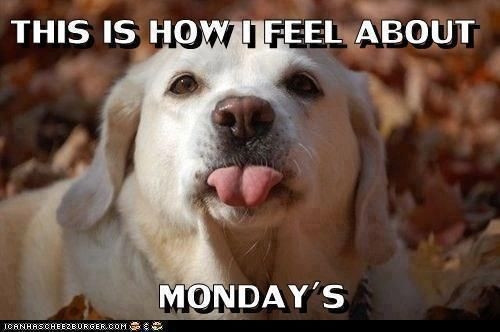 How I feel about Mondays