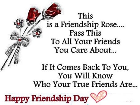 friendship rose