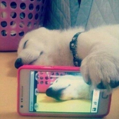 Selfie Moments