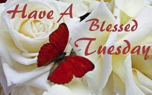 Have a blessed Tuesday