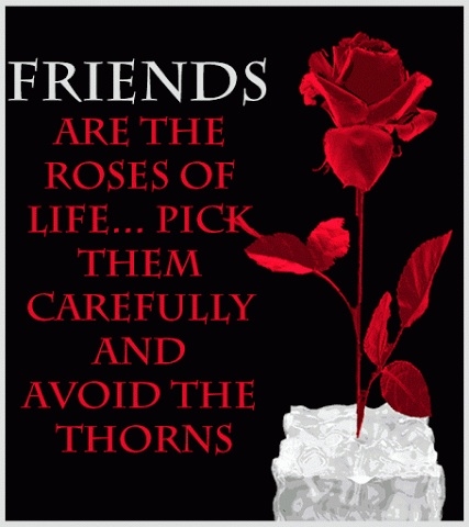 friends