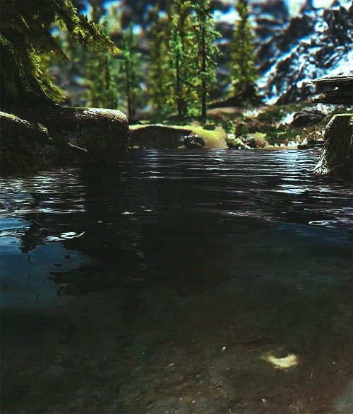 Lapping waters