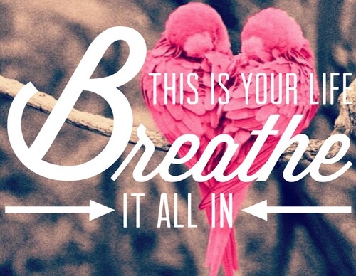 This is your life, breathe it all in This is your life, breathe it all in