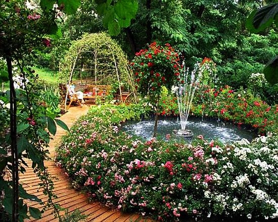 Backyard Retreat