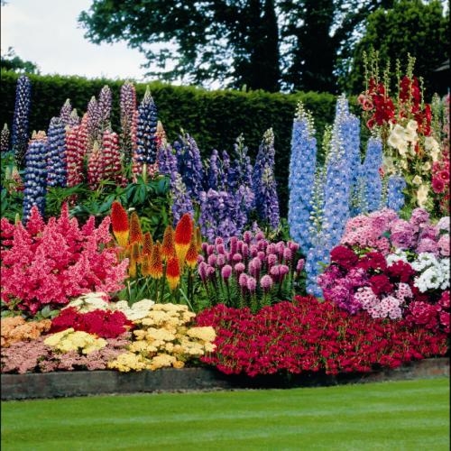Colorful Flowerbed Colorful Flowerbed