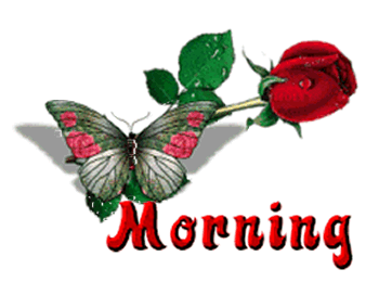 Morning