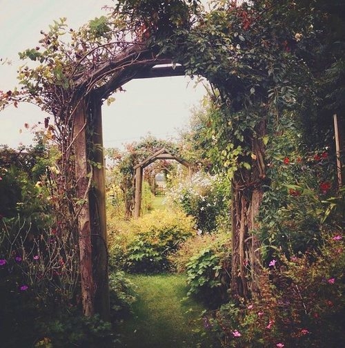 Wooden arches