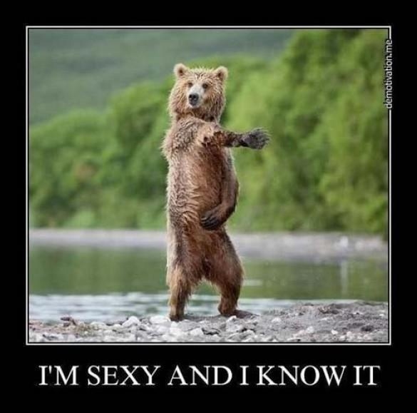 sexy and I know it