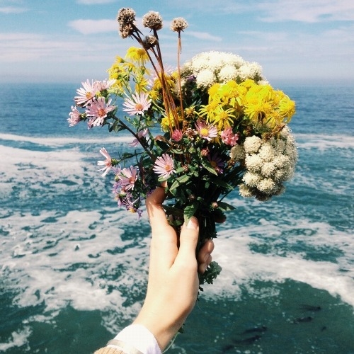 Wild flower bouquet Wild flower bouquet