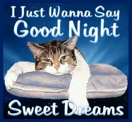 Good Night Good Night