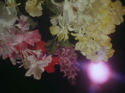 Floral reflection