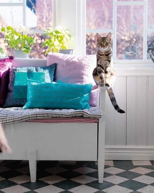 Cat perch Cat perch