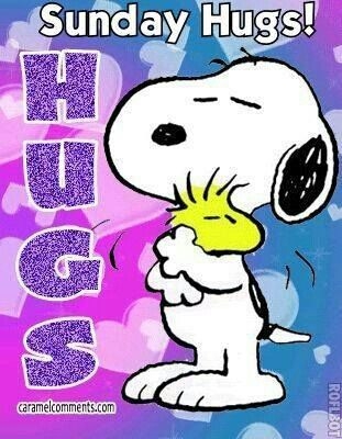 Sunday Hugs Sunday Hugs
