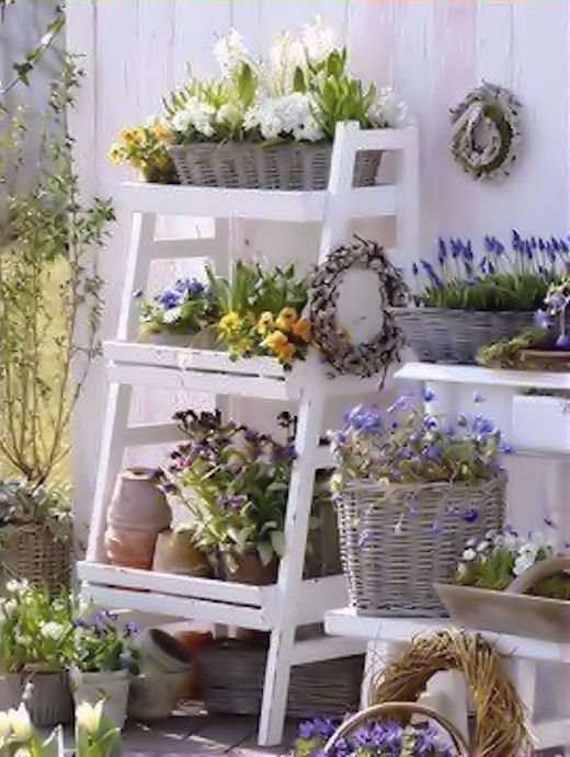 Cute Outdoor Garden Cute Outdoor Garden