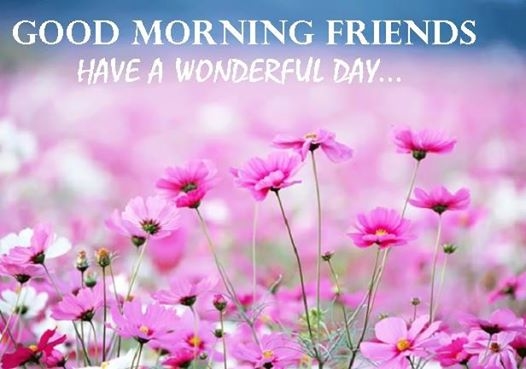 Good Morning Friends Good Morning Friends