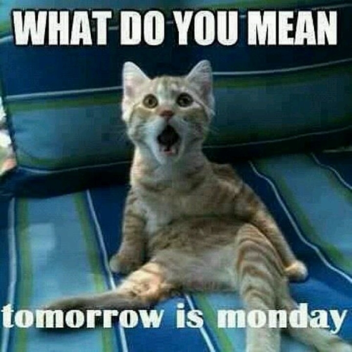 tomorrow is Monday
