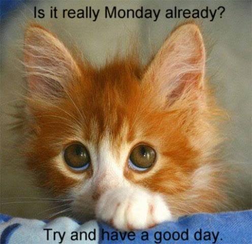 Is it Monday again
