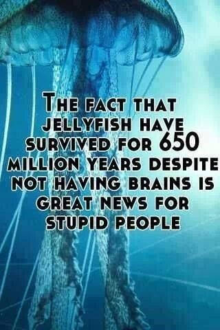 stupid people stupid people