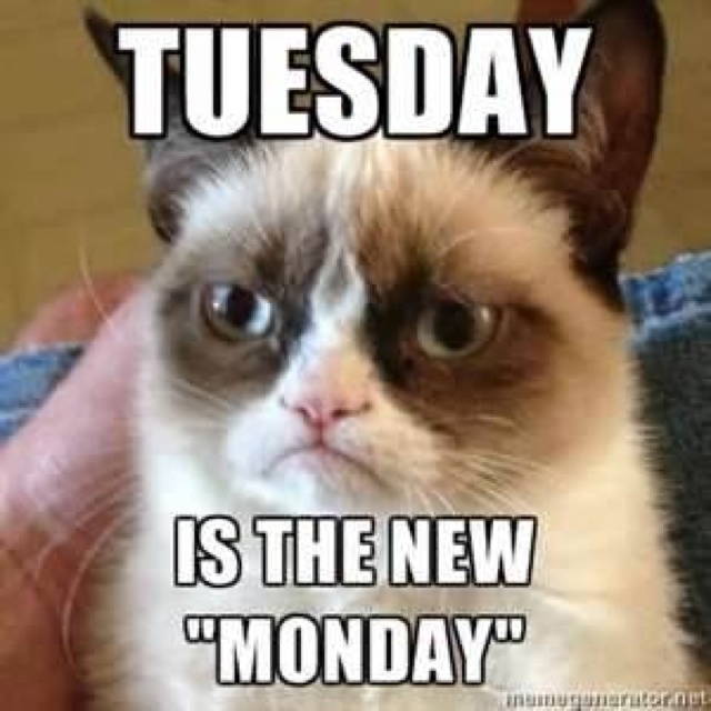 Tuesday is the new Monday