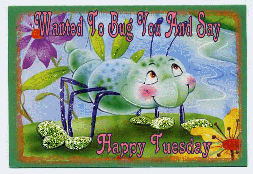 Wanted to bug you and say Happy Tuesday