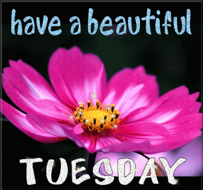 Have a beautiful Tuesday Have a beautiful Tuesday