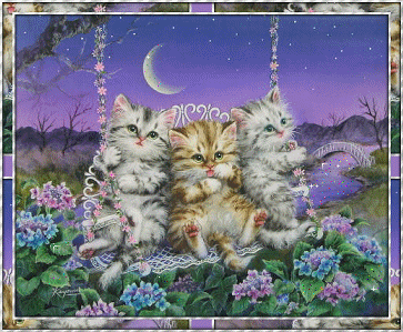 Cute Kitties Cute Kitties
