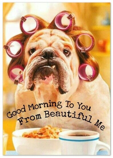 Good Morning Good Morning