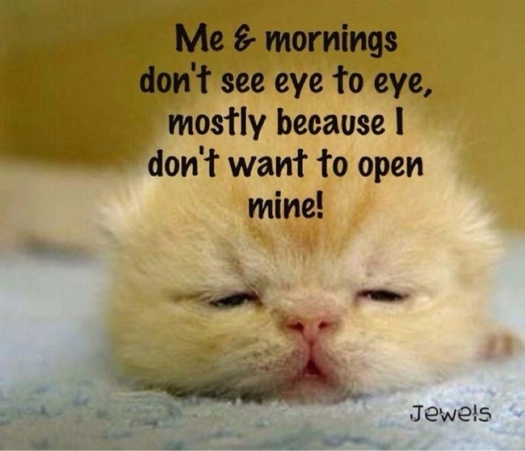 Me and Mornings Me and Mornings