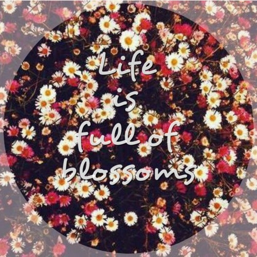 Life is full of blossoms Life is full of blossoms