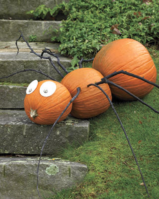 Spider Pumpkin