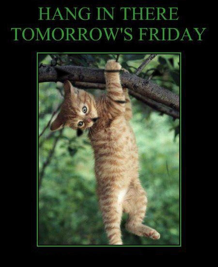 Hang in there Hang in there
