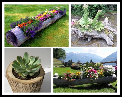 DIY Tree Log Garden Planter DIY Tree Log Garden Planter