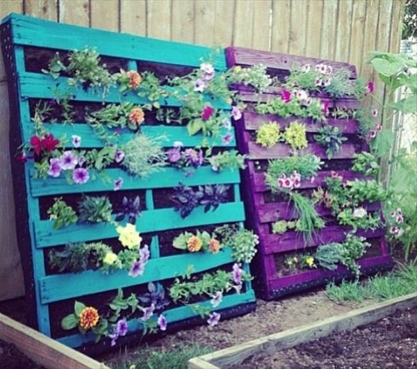 Pallet Garden