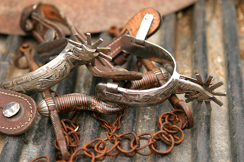 Rustic spurs Rustic spurs