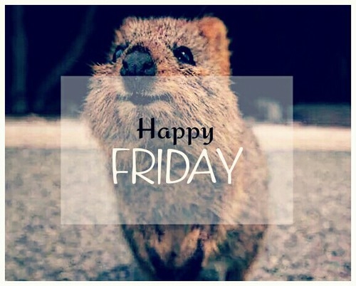 Happy Friday