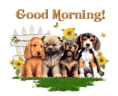 Good Morning Good Morning