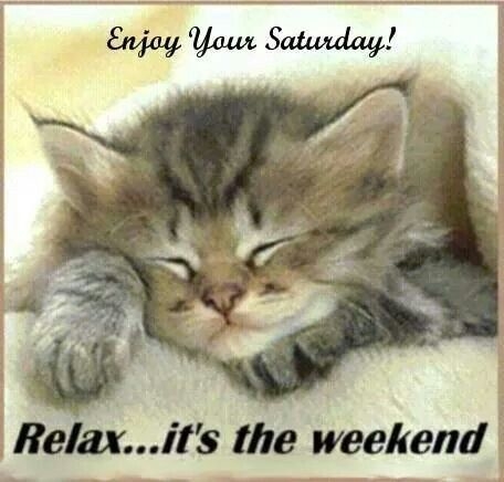 Enjoy Your Saturday Enjoy Your Saturday