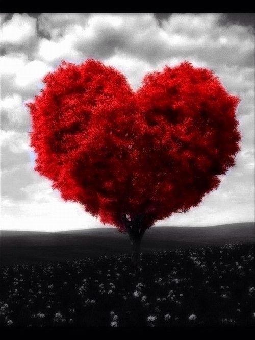 Love Tree