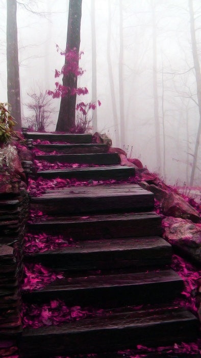 Mystical