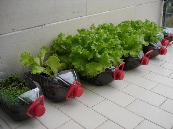 Water Jug Garden Idea
