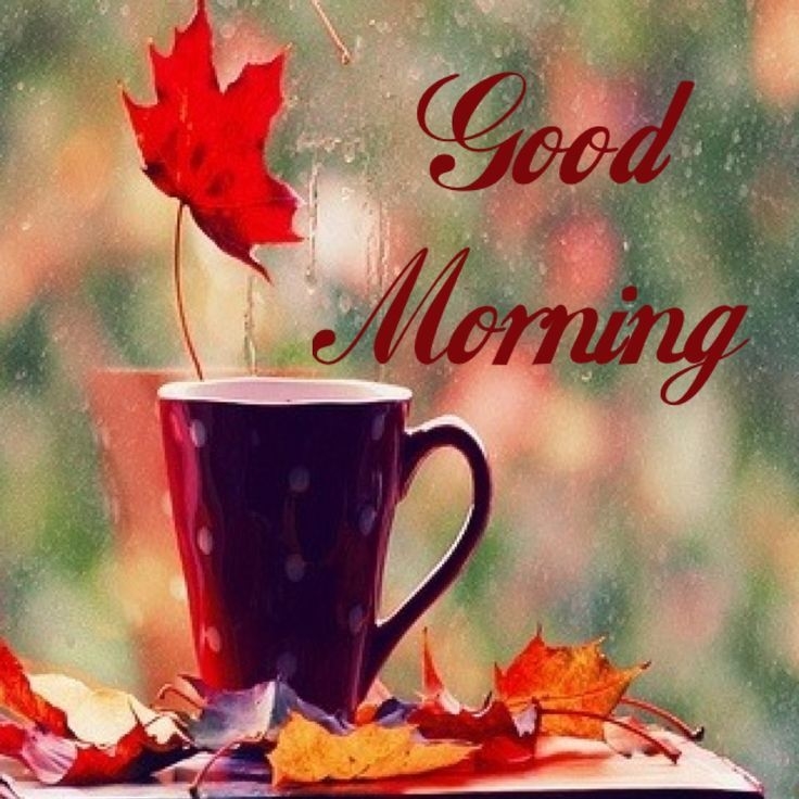 Good Morning Good Morning
