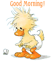 Good Morning